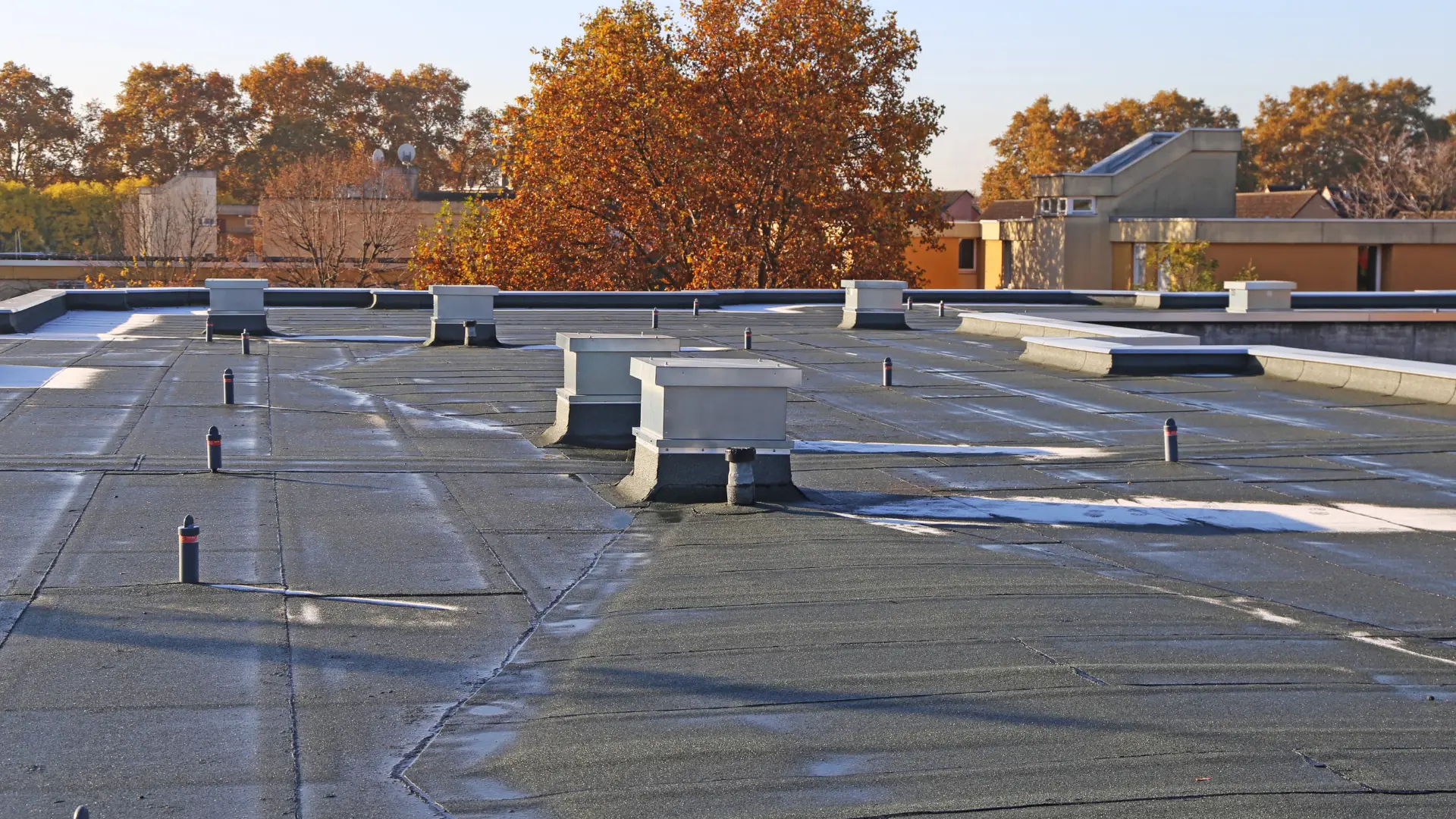 Large felt flat roof with neatly detailed vents, upstands and perimeter trims on a commercial building