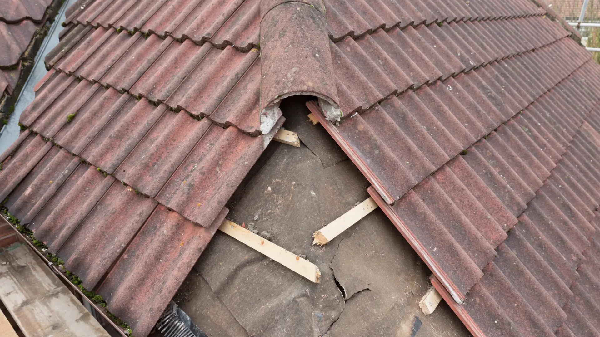 Roof repair in progress with tiles lifted to expose torn roofing felt and broken timber battens